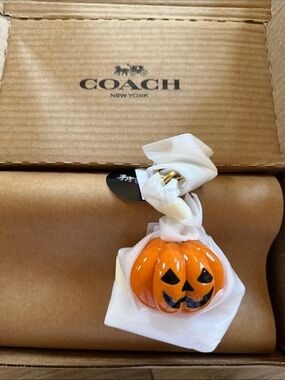 Super rare Coach pumpkin face charm Jack o lantern